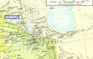 image.axd162