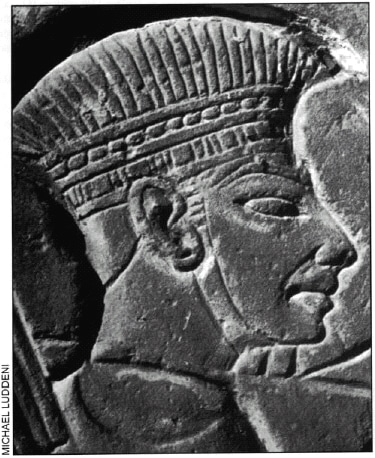image.axd105