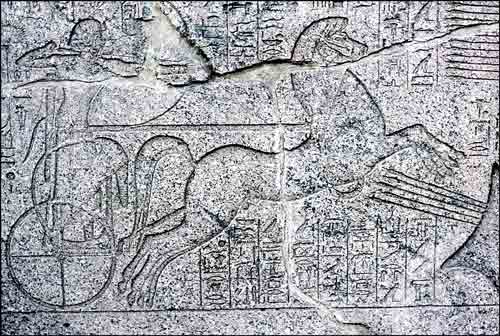 Amenhotep II as Pharaoh of the Exodus