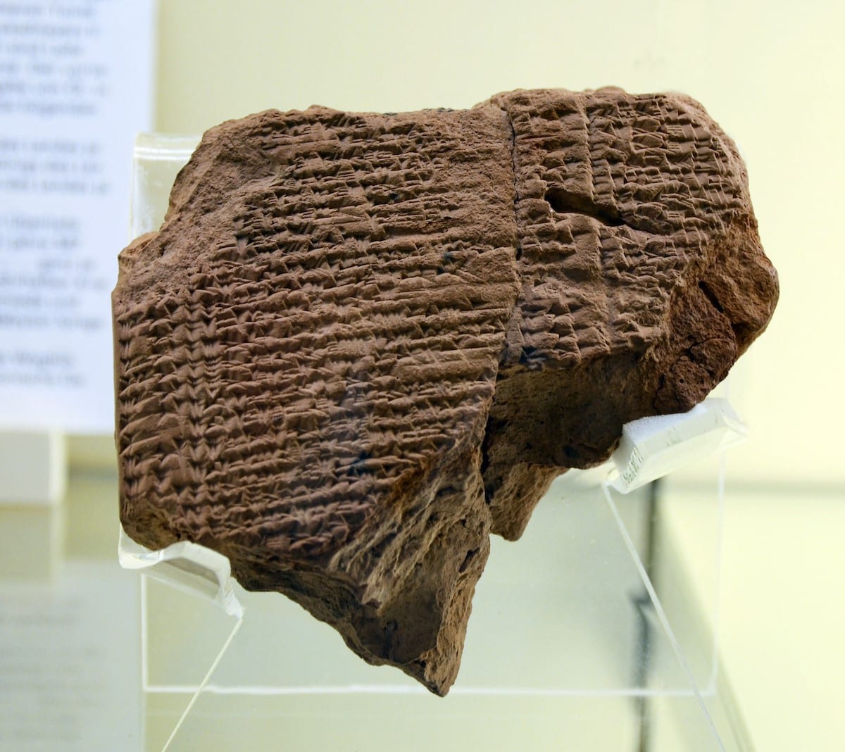 Jechoiniah Ration Tablet