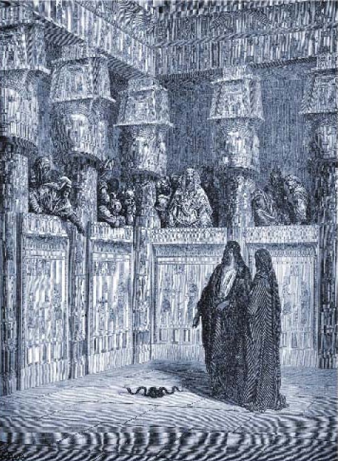 ROYALPRECRAM image 3