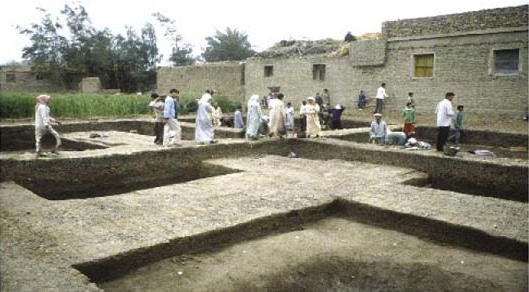 ROYALPRECRAM image 6