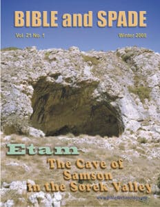 2008 B&S Cover Medium