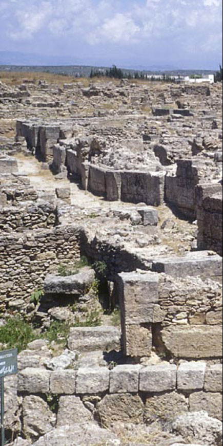 image.axd 2605