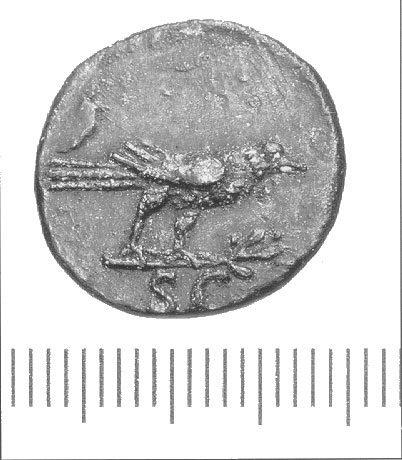 The King and I: The Apostle John and Emperor Domitian, Part 1