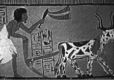 Tomb of Sennutem copy