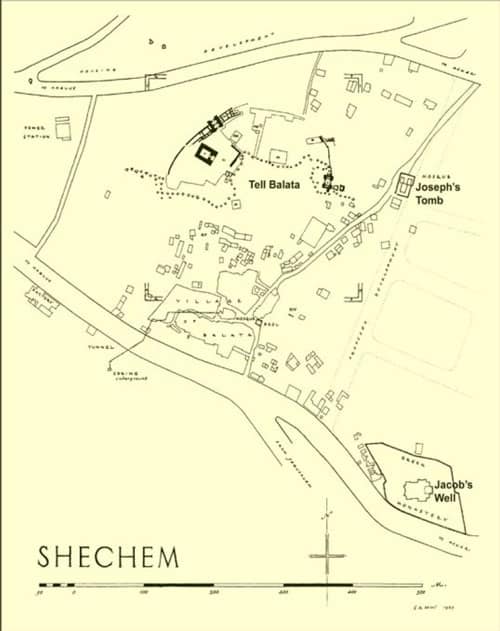 SCHECHEMACS image 2