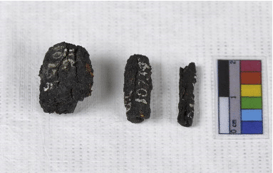 The 2013 Roundup of Significant New Discoveries in Biblical Archaeology