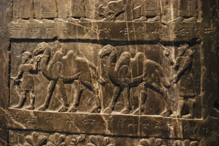 The Date of Camel Domestication in the Ancient Near East