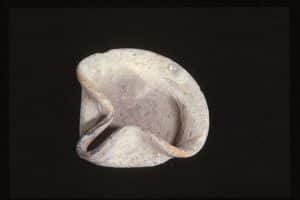 Lamp1