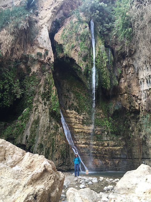 The Waterfall at En Gedi web