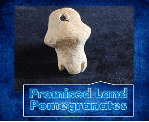 Promised Land Pomegranates
