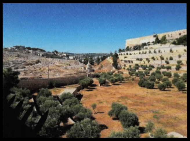 Foreshadowings of the Messiah’s Resurrection