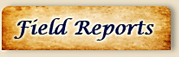 field reports tab