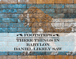 babylon windle1