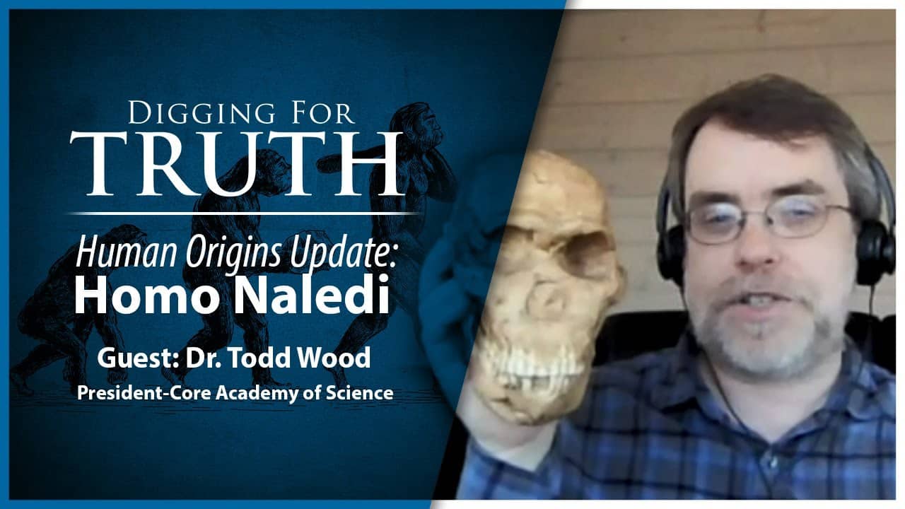 Human Origins Update: Digging for Truth Episode 171