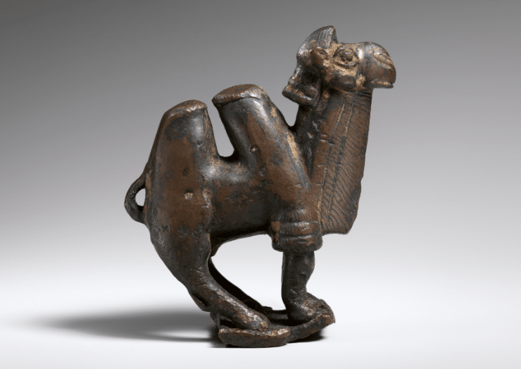 Did Abraham have Camels?
