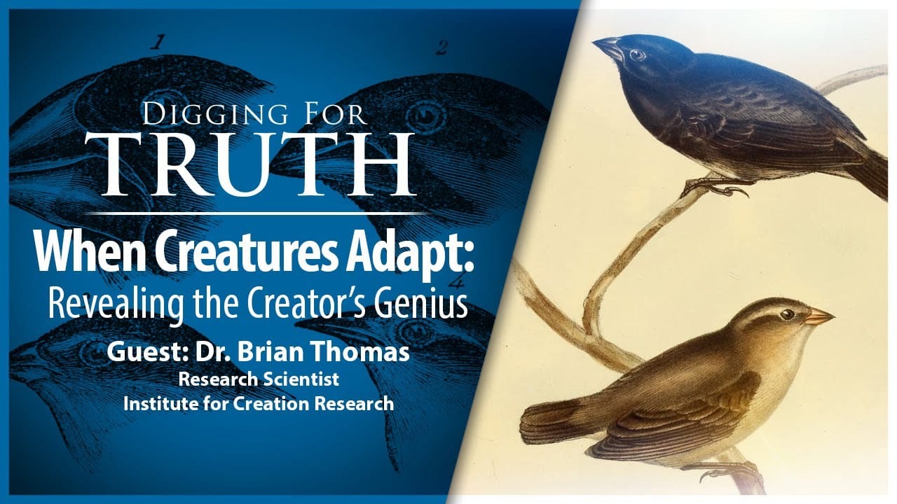 When Creatures Adapt-Revealing the Creator’s Genius: Digging for Truth Episode 208