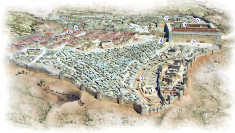 Extraordinary Excavations: The Pilgrimage Road and the Pool of Siloam