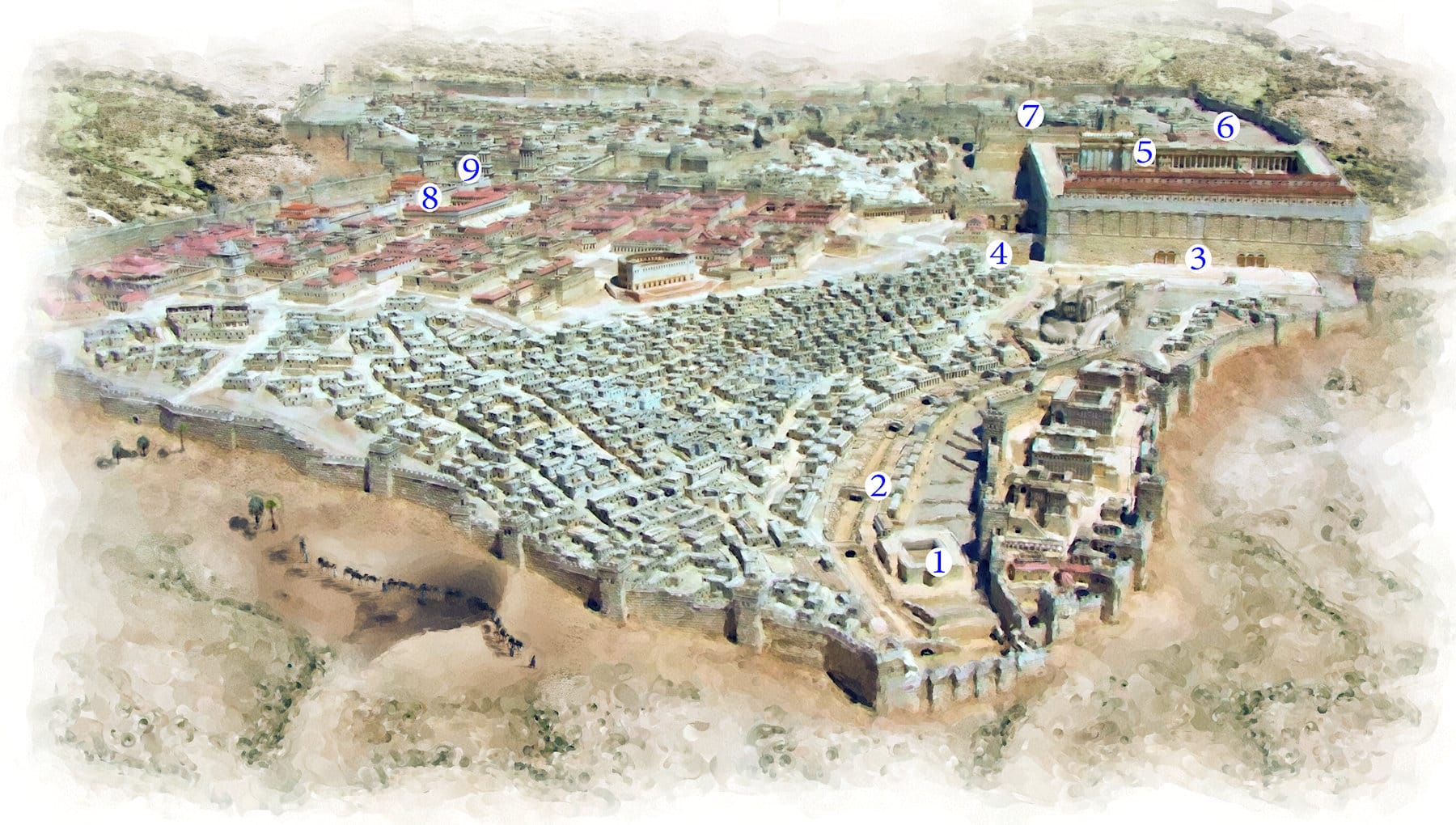 Extraordinary Excavations: The Pilgrimage Road and the Pool of Siloam