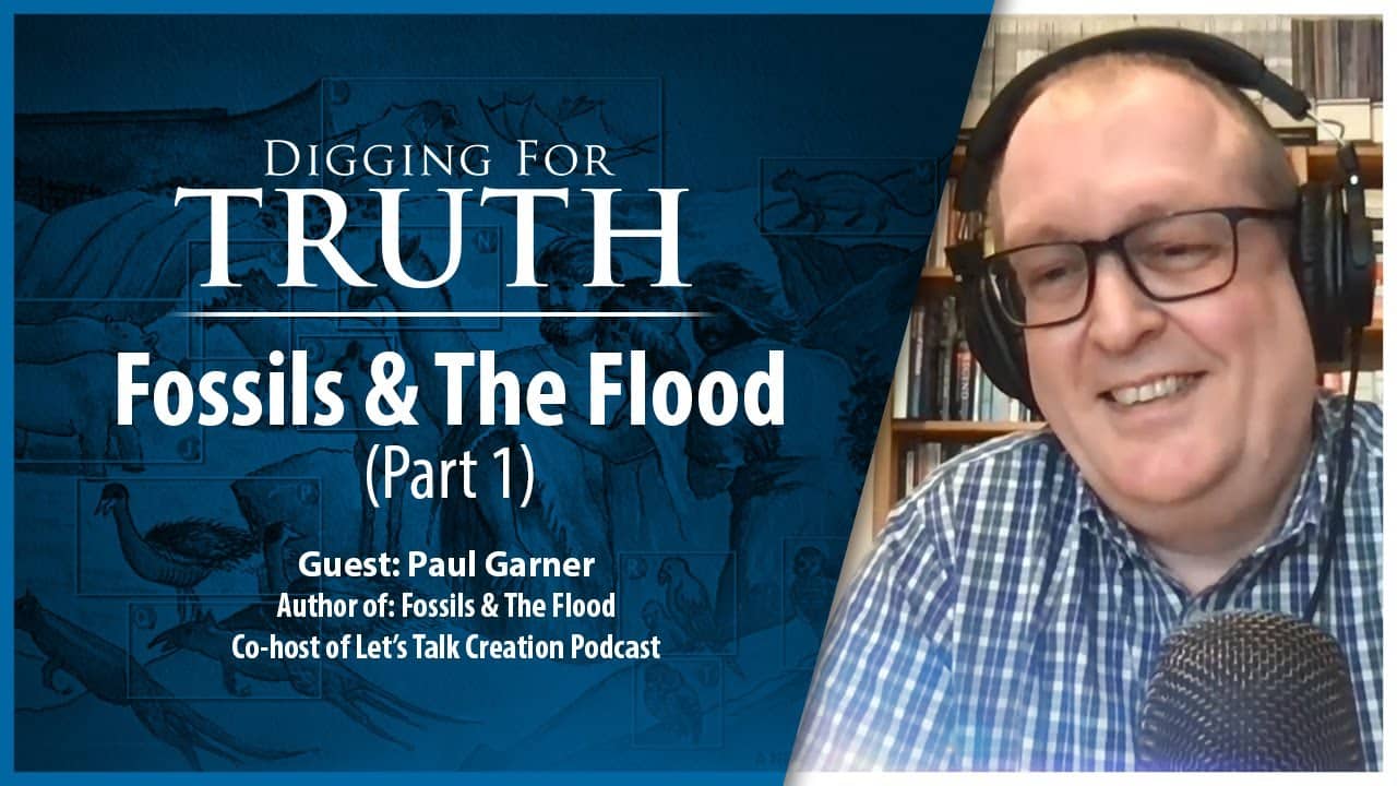 Fossils and the Flood (Part One): Digging for Truth Episode 220