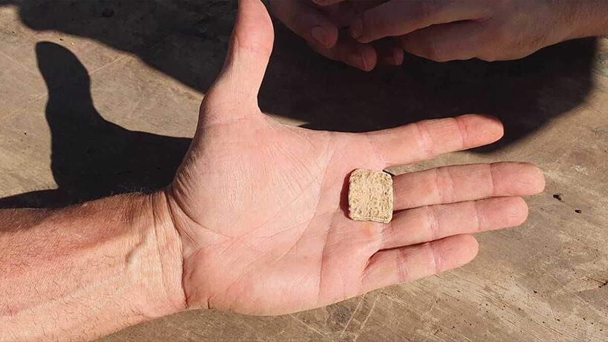 Mt Ebal Curse Tablet