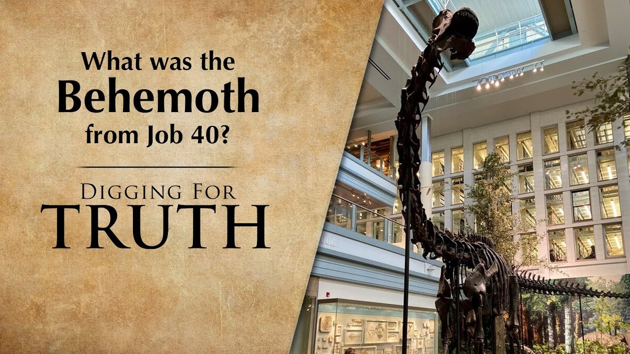 What was the Behemoth from Job 40?: Digging for Truth Episode 237