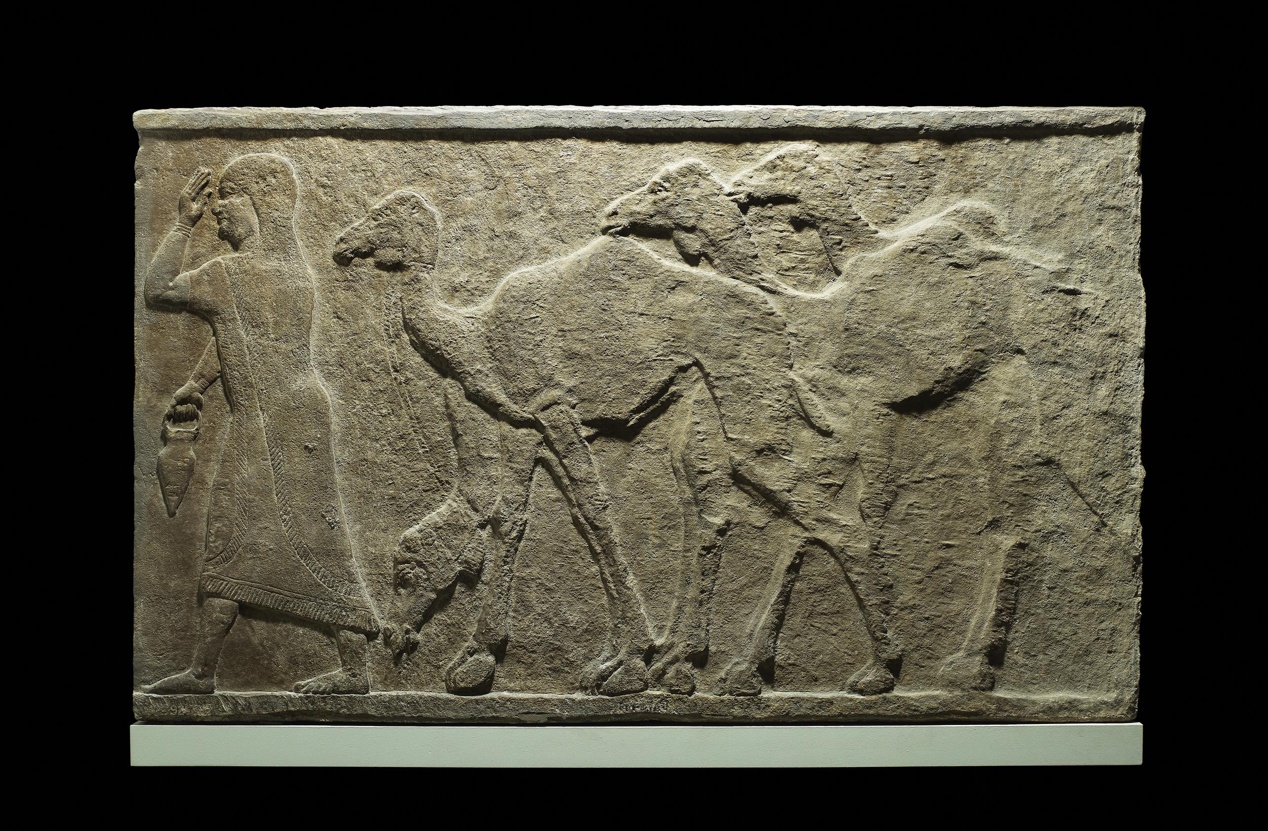 The Queen of Sheba: Fairy Tale or Fact?