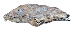 Curse tablet transparent background cropped