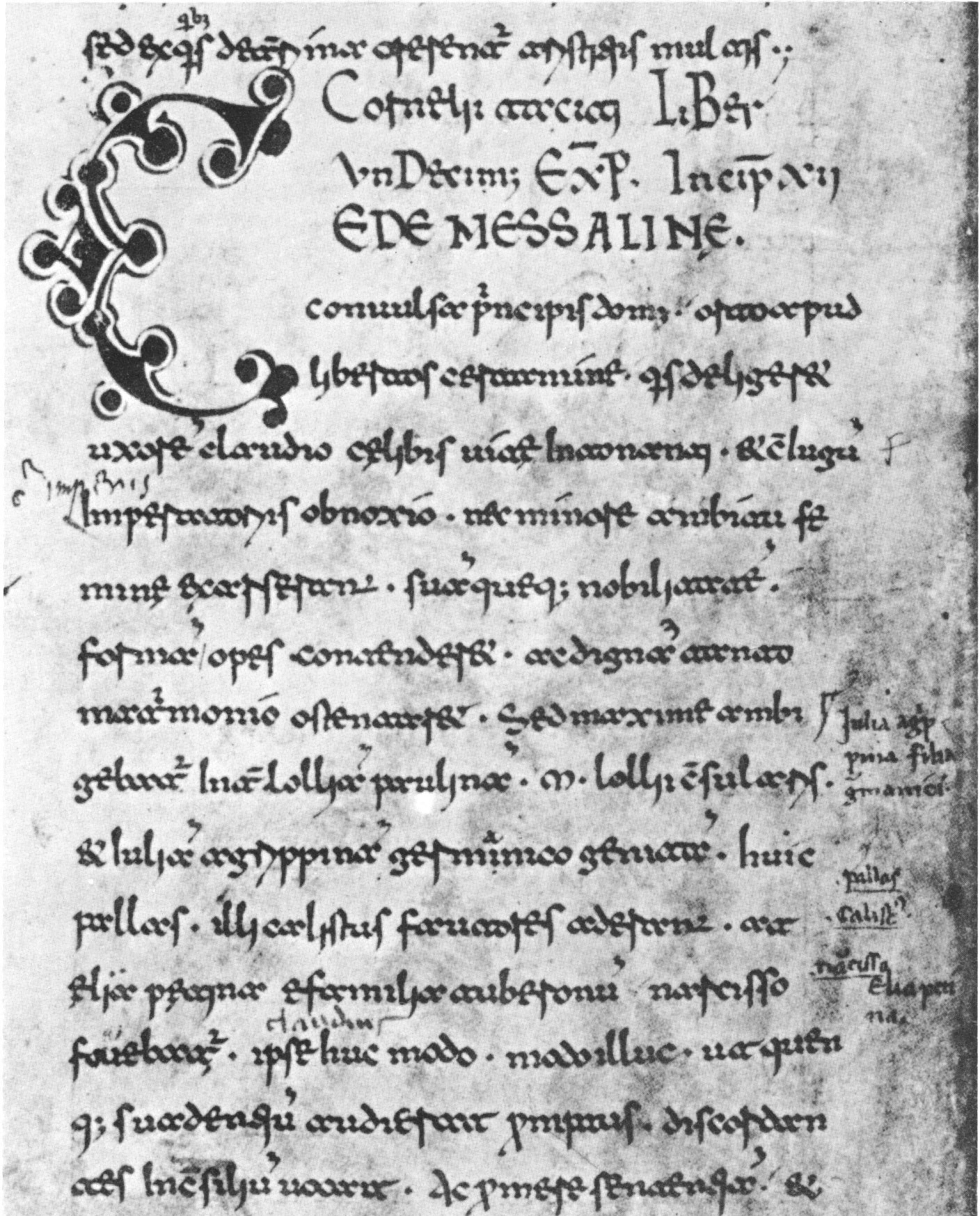 Windle image 10