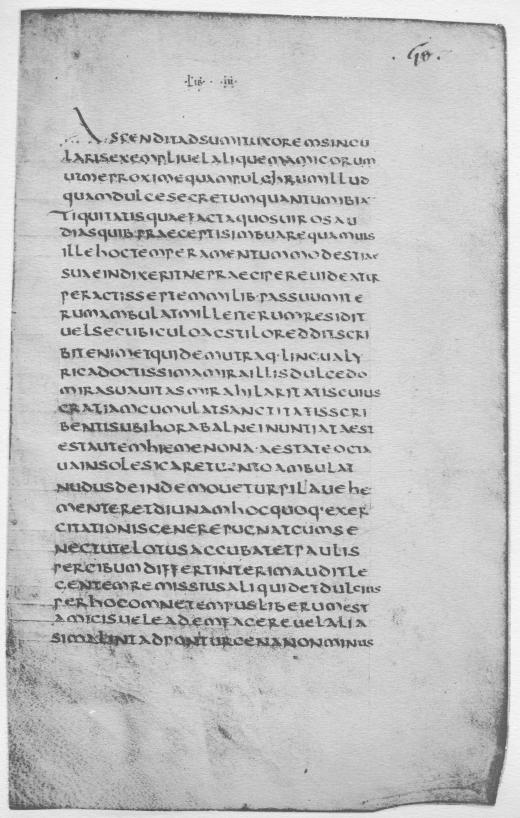 Windle image 7
