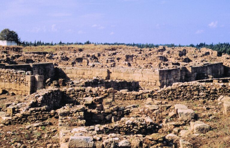 Excavations Renewed at Ugarit After 14-Year Break