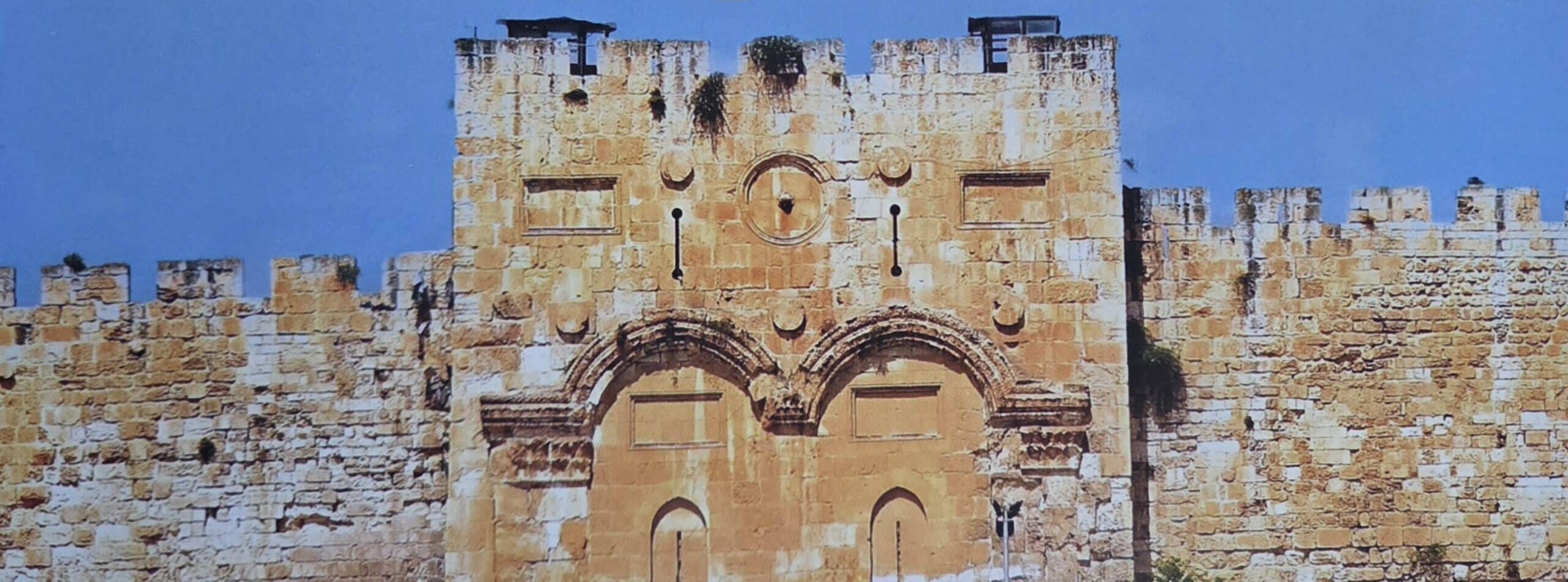 Shiloh Excavations 2018 Testimonials